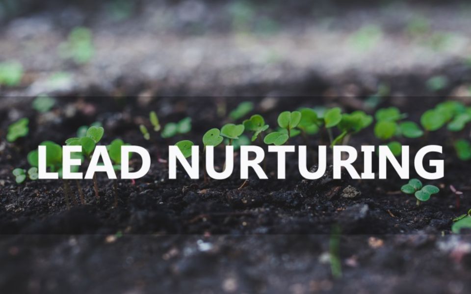 data sources for lead nurturing