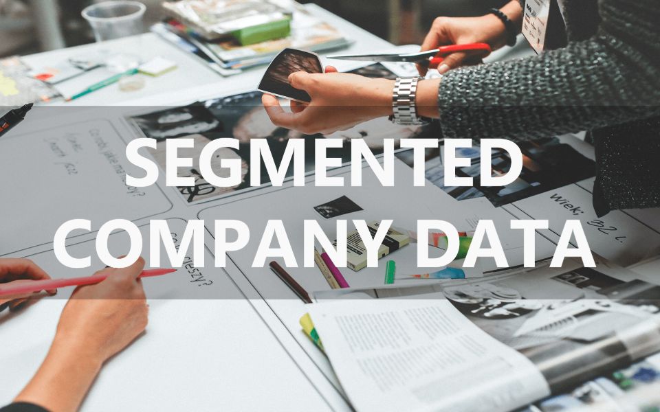 Segmented company data can solve big data issues