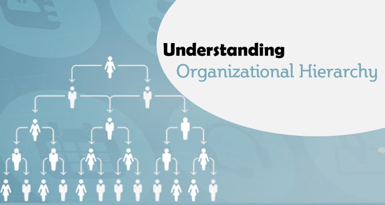 Understanding organizational hierarchy