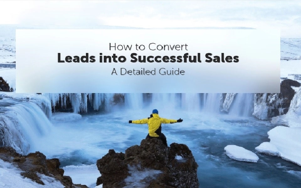 successful sales lead