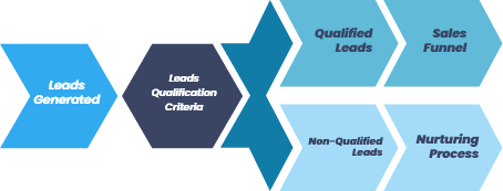 Sales qualification process