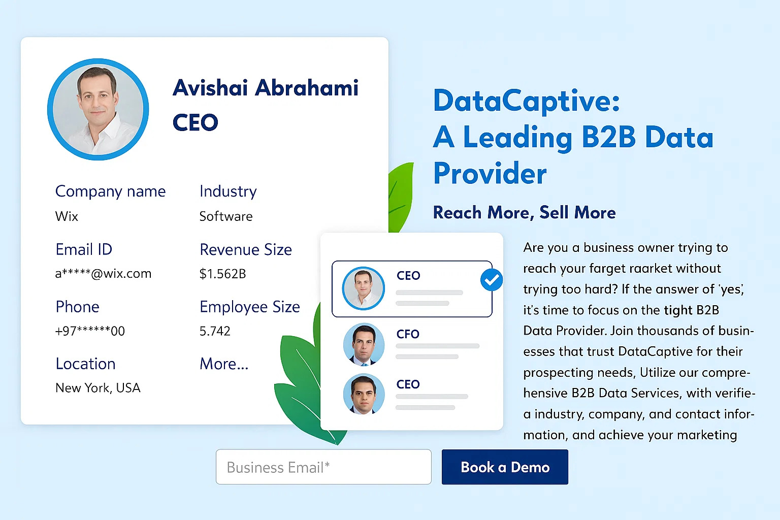 CEO Email List
